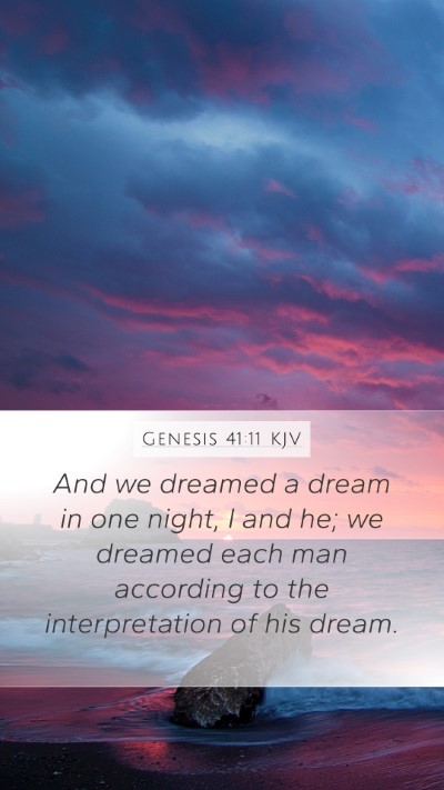 Genesis 41:11 KJV Mobile Phone Wallpaper - And we dreamed a dream in one night, I and he; we - Mobile Bible Verse Wallpaper
