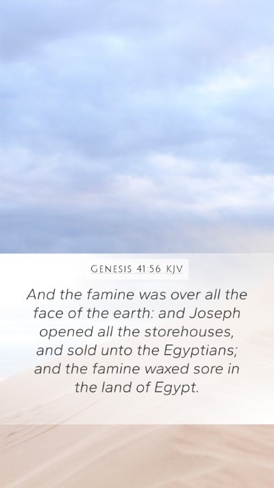 Genesis 41:56 KJV Bible Verse Image