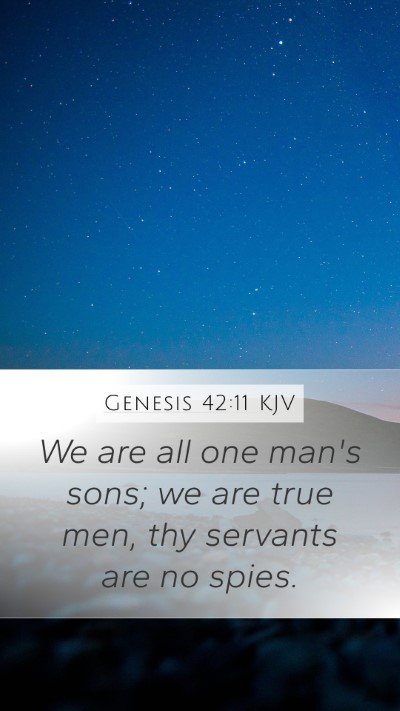 Genesis 42:11 KJV Bible Verse Image