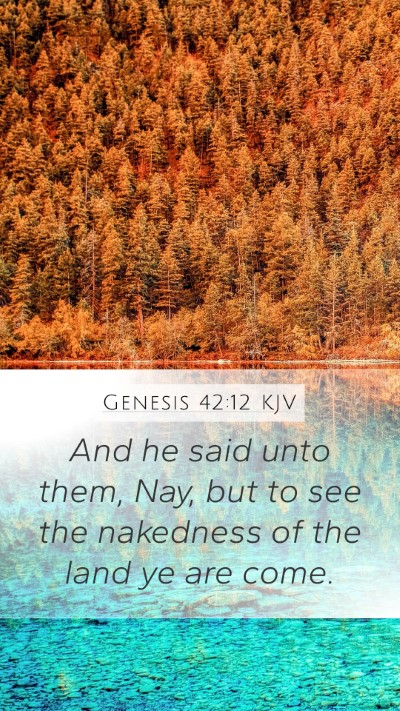 Genesis 42:12 KJV Mobile Phone Wallpaper - And he said unto them, Nay, but to see the - Mobile Bible Verse Wallpaper