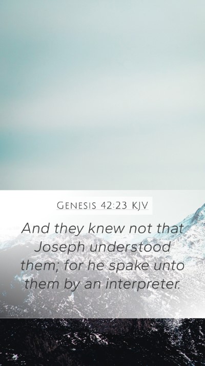 Genesis 42:23 KJV Bible Verse Image