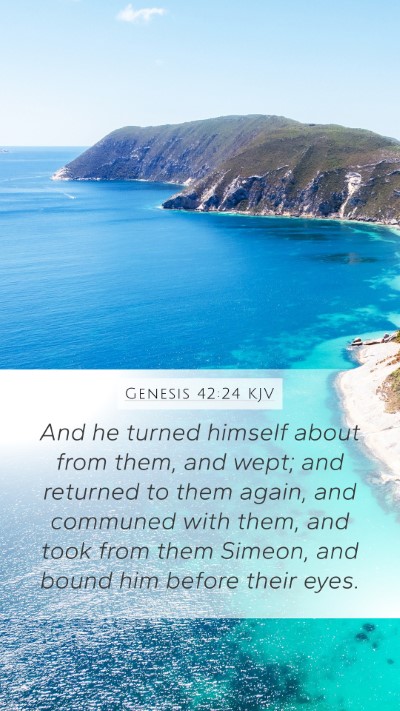 Genesis 42:24 KJV Bible Verse Image