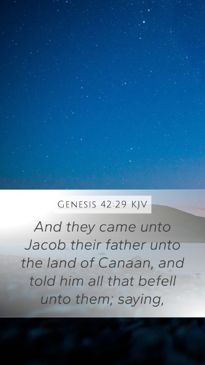 Genesis 42:29 KJV Bible Verse Image