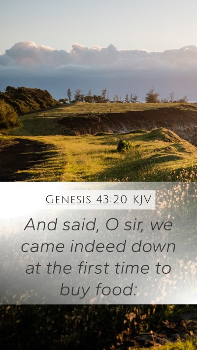 Genesis 43:20 KJV Mobile Phone Wallpaper - And said, O sir, we came indeed down at the first - Mobile Bible Verse Wallpaper