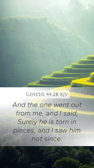 Genesis 44:28 KJV Mobile Phone Wallpaper - And the one went out from me, and I said, Surely - Mobile Bible Verse Wallpaper