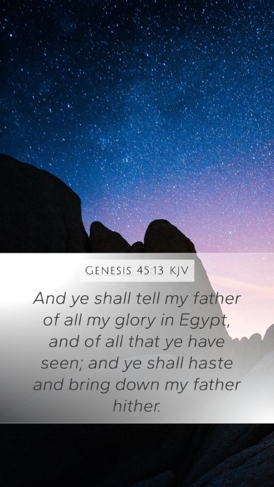 Genesis 45:13 KJV Bible Verse Image
