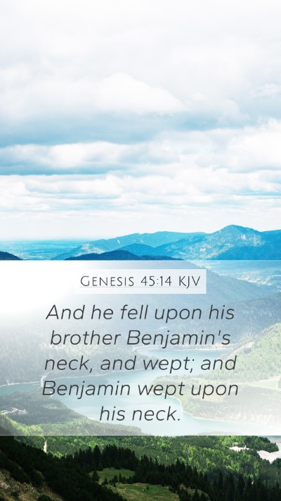 Genesis 45:14 KJV Bible Verse Image