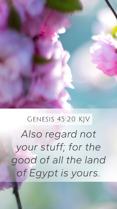 Genesis 45:20 KJV Mobile Phone Wallpaper - Also regard not your stuff; for the good of all - Mobile Bible Verse Wallpaper