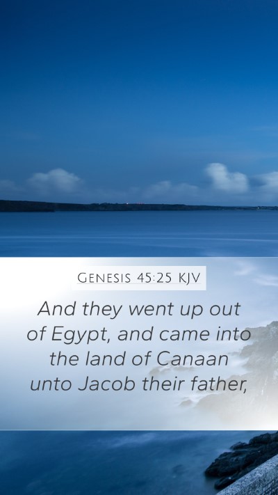 Genesis 45:25 KJV Mobile Phone Wallpaper - And they went up out of Egypt, and came into the - Mobile Bible Verse Wallpaper