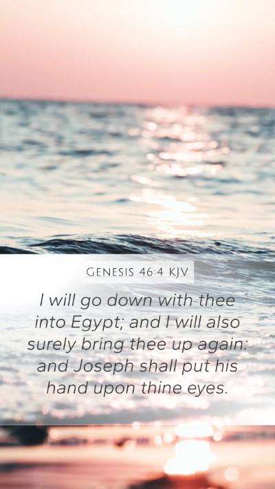Genesis 46:4 KJV Bible Verse Image