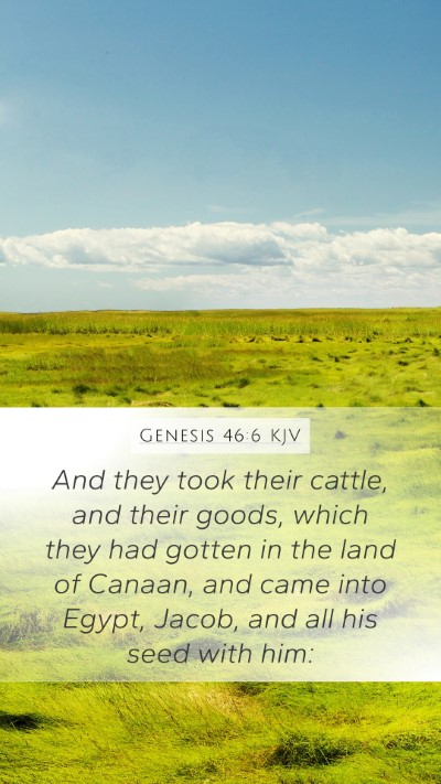 Genesis 46:6 KJV Bible Verse Image
