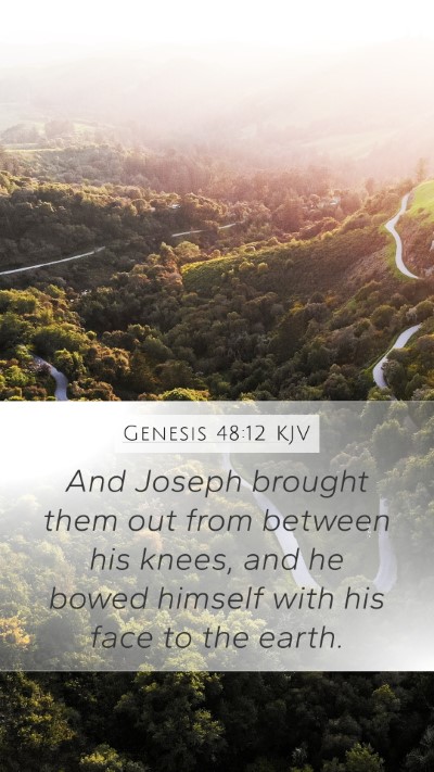 Genesis 48:12 KJV Mobile Phone Wallpaper - And Joseph brought them out from between his - Mobile Bible Verse Wallpaper