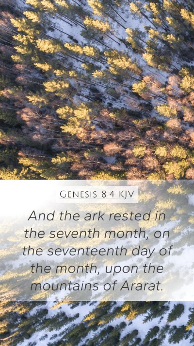 Genesis 8:4 KJV Bible Verse Image