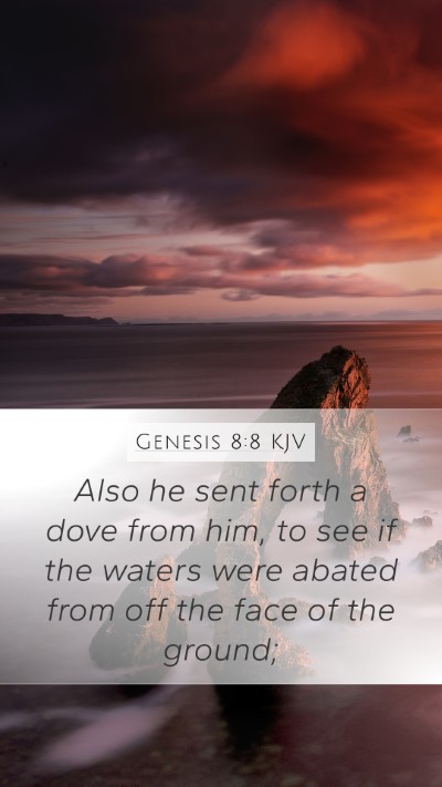 Genesis 8:8 KJV Bible Verse Image