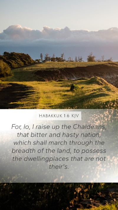 Habakkuk 1:6 KJV Bible Verse Image