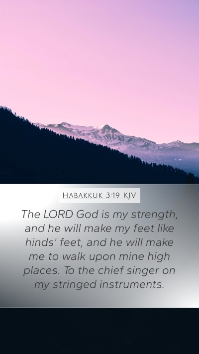 Habakkuk 3:19 KJV Bible Verse Image