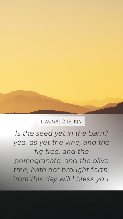 Haggai 2:19 KJV Bible Verse Image