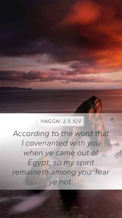 Haggai 2:5 KJV Bible Verse Image