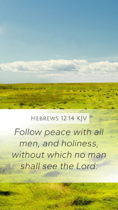 Hebrews 12:14 KJV Bible Verse Image