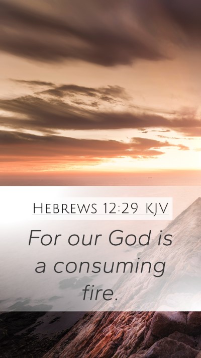 Hebrews 12:29 KJV Bible Verse Image