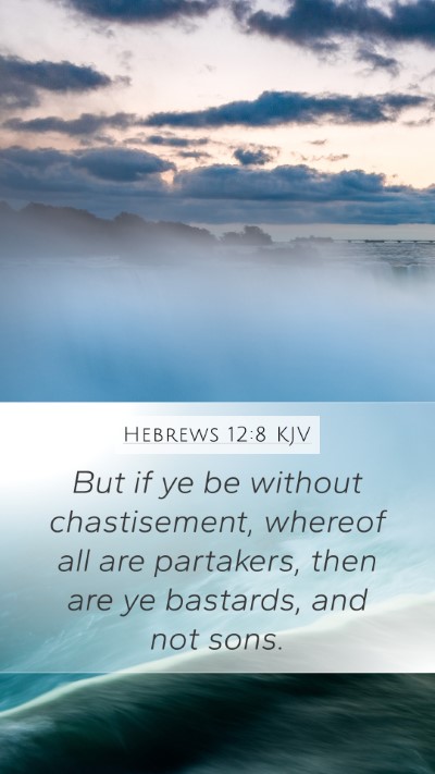 Hebrews 12:8 KJV Bible Verse Image
