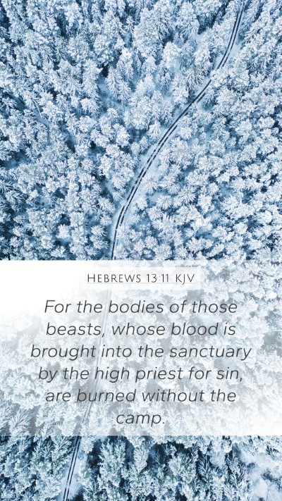 Hebrews 13:11 KJV Bible Verse Image