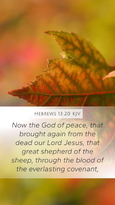 Hebrews 13:20 KJV Bible Verse Image