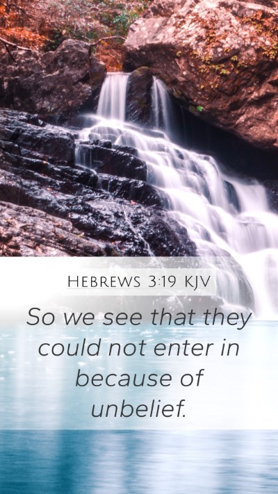 Hebrews 3:19 KJV Bible Verse Image