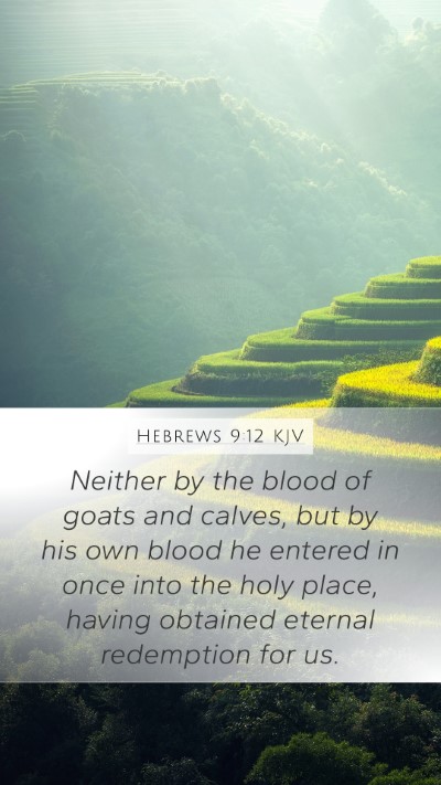 Hebrews 9:12 KJV Bible Verse Image