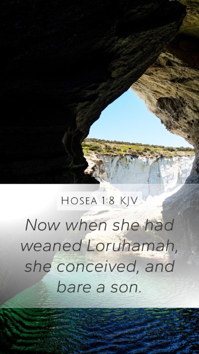 Hosea 1:8 KJV Mobile Phone Wallpaper - Now when she had weaned Loruhamah, she conceived, - Mobile Bible Verse Wallpaper