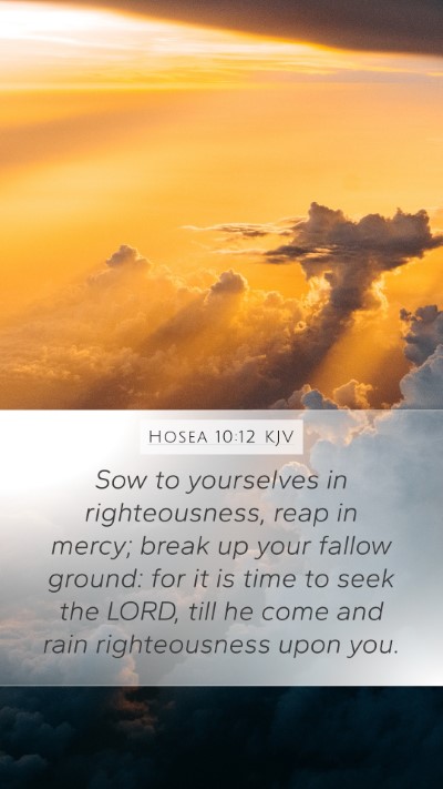 Hosea 10:12 KJV Bible Verse Image