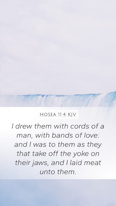 Hosea 11:4 KJV Bible Verse Image