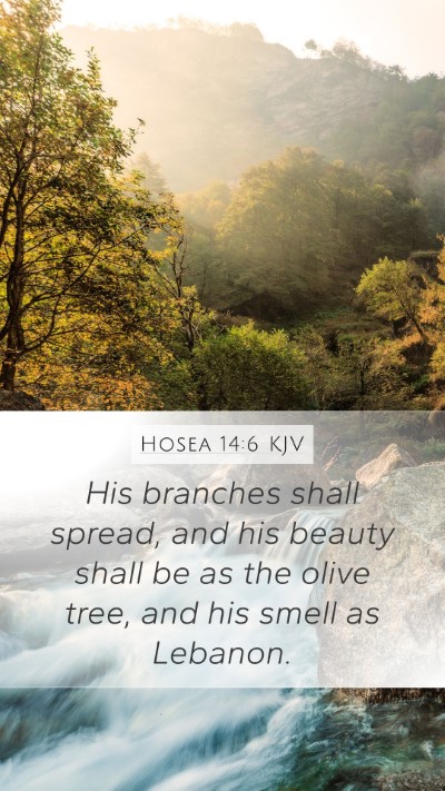 Hosea 14:6 KJV Bible Verse Image