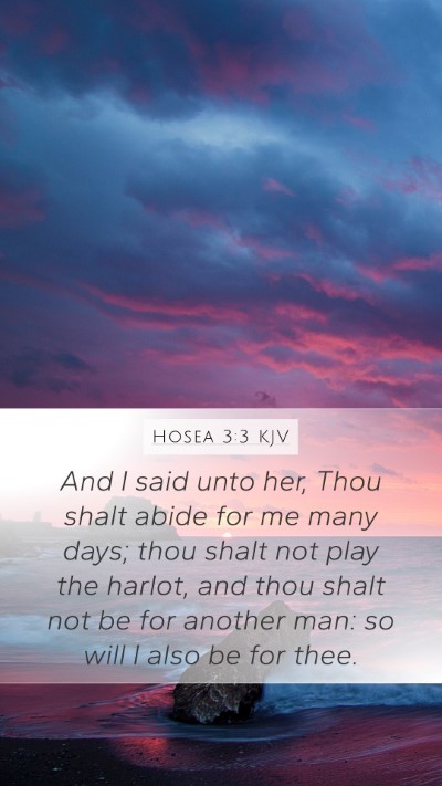 Hosea 3:3 KJV Bible Verse Image