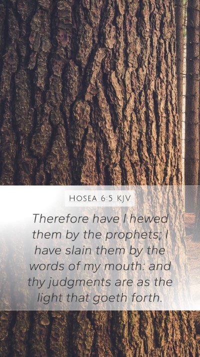 Hosea 6:5 KJV Bible Verse Image