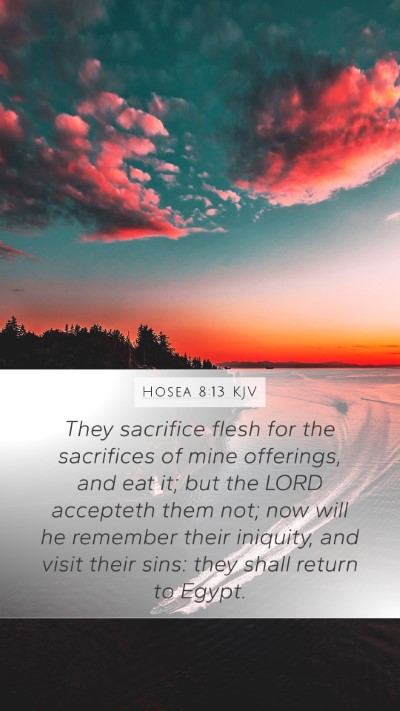 Hosea 8:13 KJV Bible Verse Image