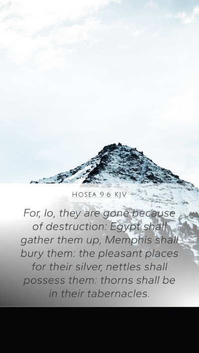 Hosea 9:6 KJV Bible Verse Image