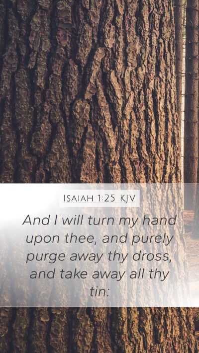 Isaiah 1:25 KJV Bible Verse Image