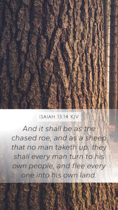 Isaiah 13:14 KJV Bible Verse Image
