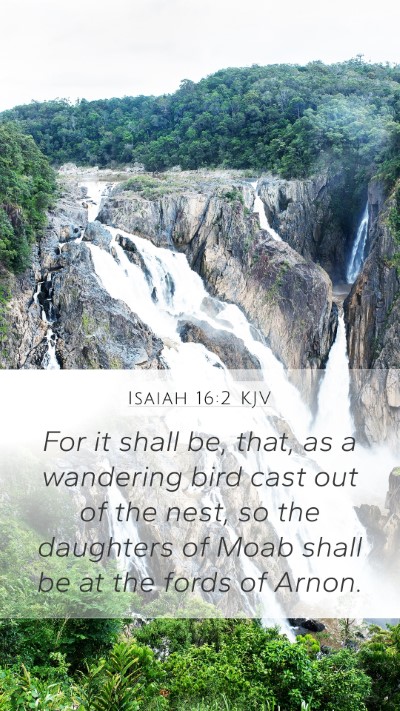 Isaiah 16:2 KJV Bible Verse Image