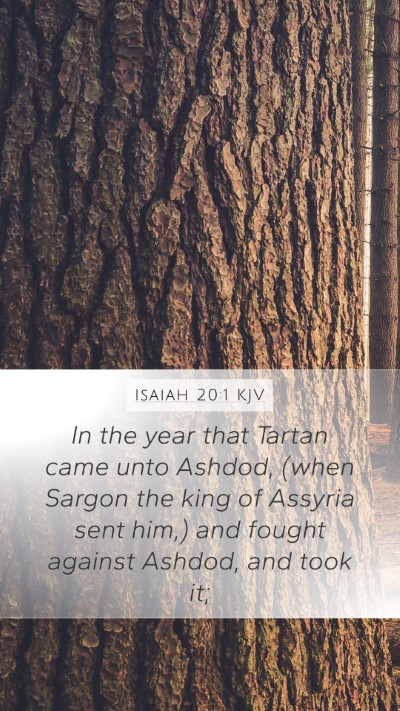 Isaiah 20:1 KJV Mobile Phone Wallpaper - In the year that Tartan came unto Ashdod, (when - Mobile Bible Verse Wallpaper