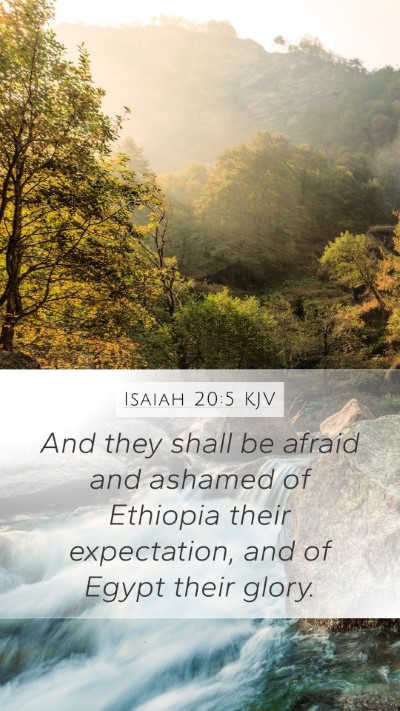 Isaiah 20:5 KJV Bible Verse Image