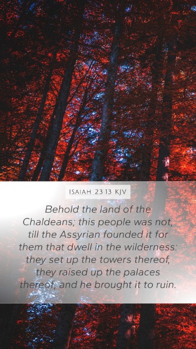 Isaiah 23:13 KJV Bible Verse Image