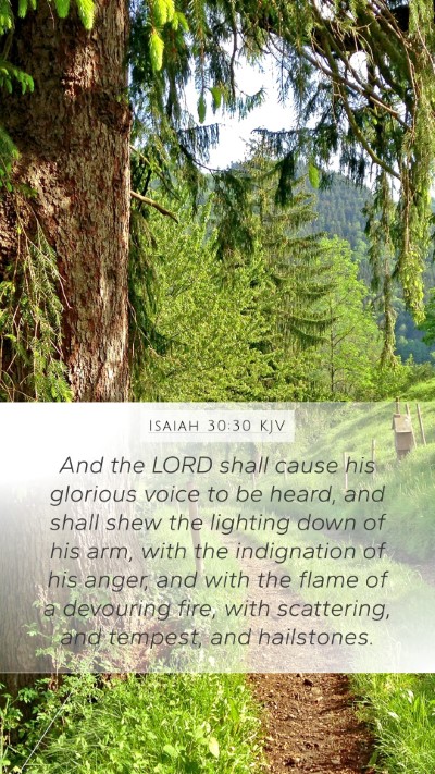 Isaiah 30:30 KJV Bible Verse Image