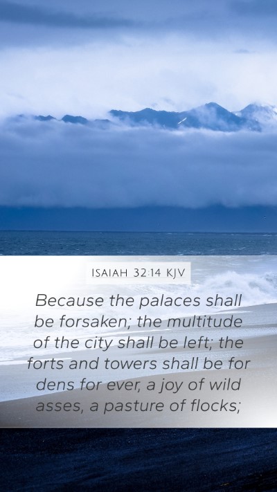 Isaiah 32:14 KJV Bible Verse Image