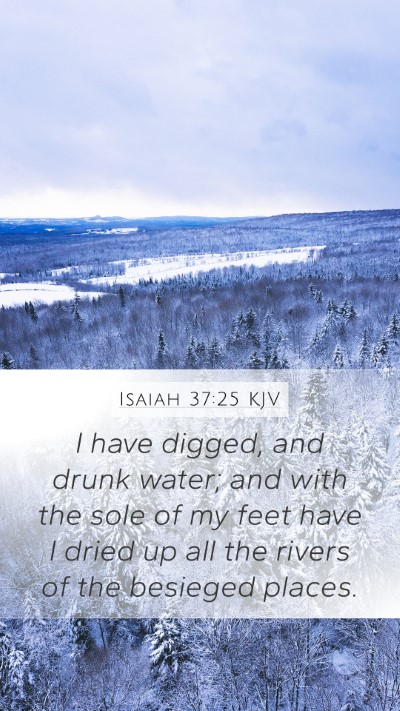 Isaiah 37:25 KJV Bible Verse Image
