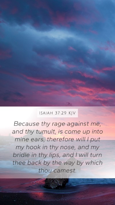 Isaiah 37:29 KJV Bible Verse Image