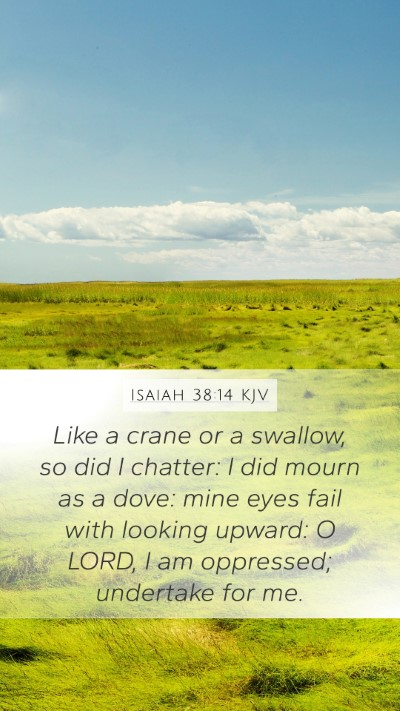 Isaiah 38:14 KJV Bible Verse Image