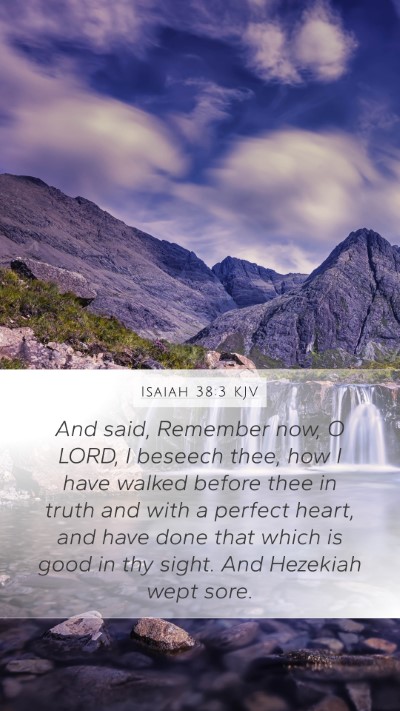 Isaiah 38:3 KJV Bible Verse Image