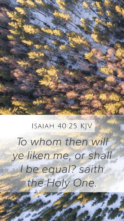 Isaiah 40:25 KJV Bible Verse Image